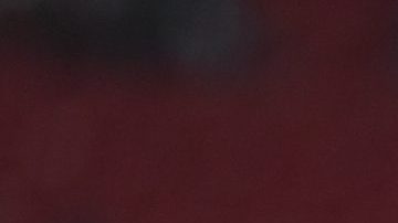 El Rebaño sumará su quinto temporada consecutiva sin llegar a la fiesta grande.