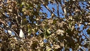 Hyundai Santa Fe Sport