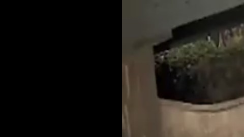 El robo sucedió alrededor de las 10:30 de la noche del domingo.