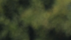 La familia Lorenzo refleja profundamente el dolor que le dejó la muerte de Amy y Marlene. (Jorge Macías)