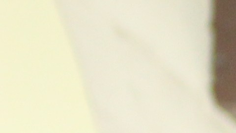 Francisco Medina (izq.) y Julián Zatarain, ambos indocumentados, fungieron por cuatro años como comisionados de Huntington Park. (Suministrada)