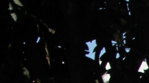 Los altares están decorados con flores, veladoras, pan de muerto y fotografías de los seres queridos. / fotos: Jorge Luis Macías.