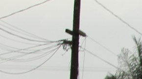 Jóvenes de distintas denominaciones religiosas encabezaron la tercera marcha anual en contra de los crímenes de odio. (Jorge Macas)