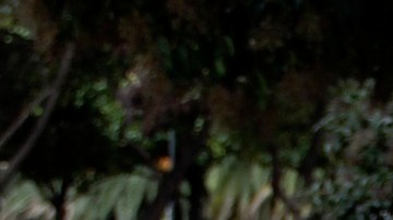 Hugo Barrueta,deportado hace tres años, tiene que sobrevivir en las calles de la CDMX.