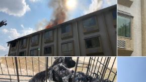 Investigadores con el Departamento de Bomberos del Condado Harris determinaron que el incendio comenzó en una habitación donde se encontraban dos niños-uno de 3 y otro de 6 años- sin supervisión.