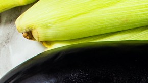 Inspiración vegetal