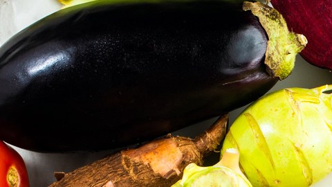 Inspiración vegetal