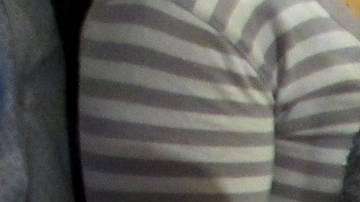 José José y José Joel