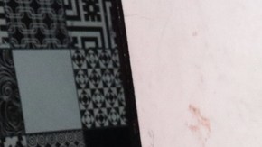 Altar de la Unión Tepito.