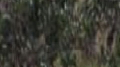 La matan con tiro de gracia donde el CJNG y Los Zetas mantienen disputa