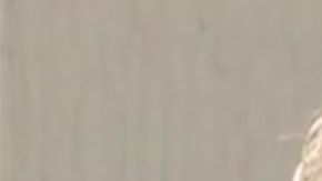 Andrew Levy, el buen samaritano.