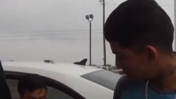 Las autoridades de Sullivan City, Texas informaron que José Vigil fue arrestado el pasado 5 de abril durante una parada de rutina.