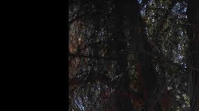 La ciudad de Campo tiene alrededor de 100 habitantes.