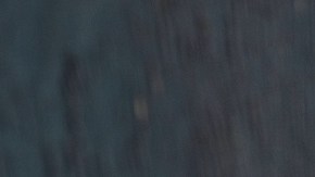 Ensalada tibia de frijoles de soya