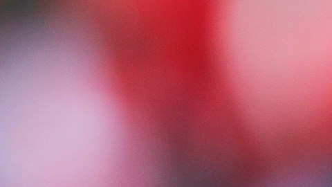 Antonio Mohamed vuelve por sus fueros a la Liga MX.