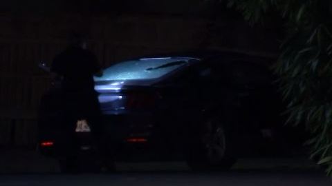 La policía fue llamada a las instalaciones del antro Seyito Rojo ubicado sobre la calle Telephone.