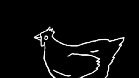 Screenshot video Peta  US