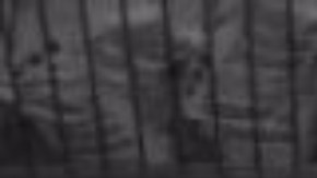 No se sabe qué había dentro de la caja fuerte.