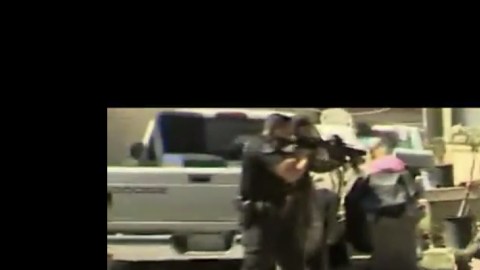 El pitbull atacó al perro policía.