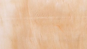 La baba no solo se puede comer, sino también untar en la piel.