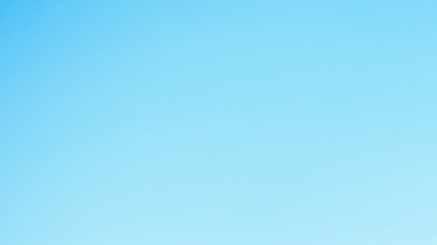 Aunque tengan jardines y jueguen mucho, tienen que salir igual; entre otros consejos que seguro no conocías