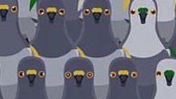 Reto visual que trata de encontrar al gato entre las palomas.