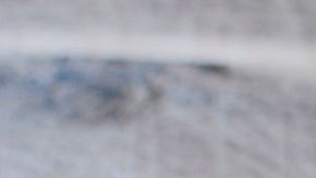 Estos productos podrían hacer rendir tu dinero por el tiempo que podrían durarte.