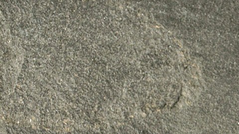 Vainilla