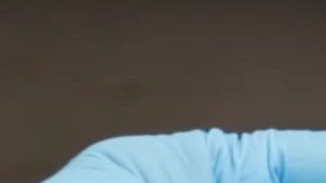 El TSA aceptará otros documentos federales para abordar vuelos nacionales.