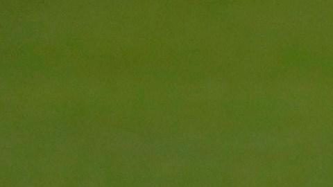 El Real Madrid se entrena, con todo y sus bajas, para el partido en Mallorca.