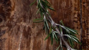 Crema de calabaza otoñal