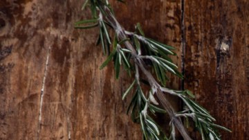 Crema de calabaza otoñal