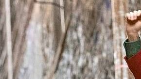 Las escaleras en 1165 Shakespeare Ave se han vuelto famosas