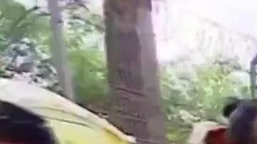 Entre los 12 inmigrante había miembros de la comunidad LGTBQ y personas con discapacidad.