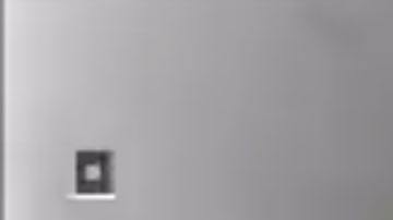 El carro entró en Washington desde Canadá.