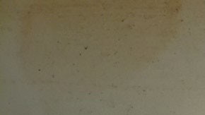 Los expertos dicen que este tiburón podría medir alrededor de 6 mentros.