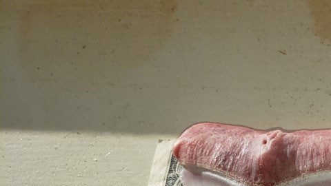 Los expertos dicen que este tiburón podría medir alrededor de 6 mentros.