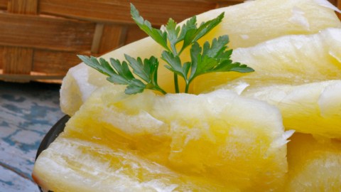 yuca