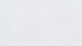 hamburguesa vegetariana