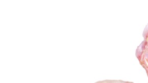 El pollo se distribuyó en varias tiendas, como Aldi.