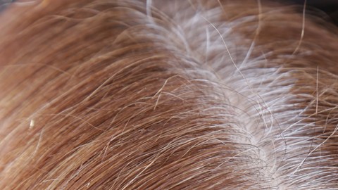 canas