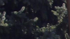 Kim Kardashian junto a sus hijos.