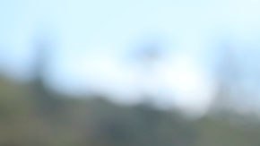 Además, también podrás apostar dinero al jugador que tú creas que se robará una base primero.