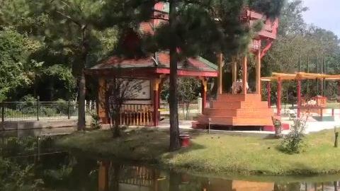 Niña en condición crítica tras caer en el estanque de un templo Budista.