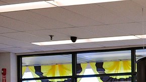 Comprar aquí estos alimentos podría ser de mucho beneficio para tus finanzas personales.