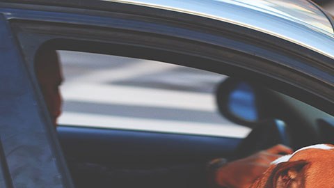 Próximamente, el servicio estará disponible en todo el país.