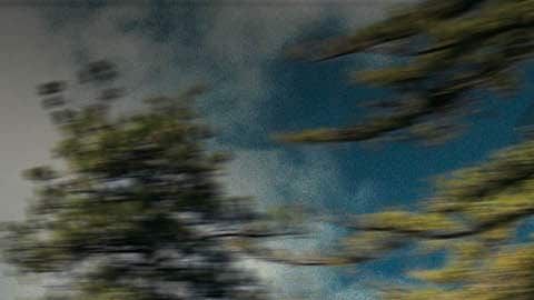 Nissan NV Passenger 2019