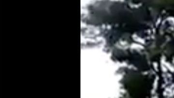 Fallido operativo contra Ovidio Guzmán.