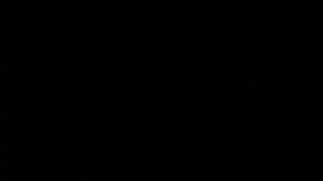 El algunos estados, conducir con hielo en el parabrisas es ilegal