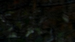 La foto le costó el anterior puesto de trabajo a Briskman.